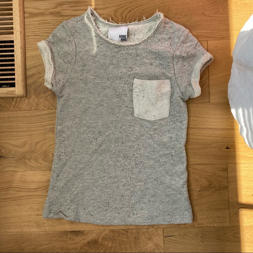 Anine Bing sweatshirt tee